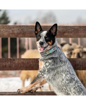 Howdy Blue Dog Collar