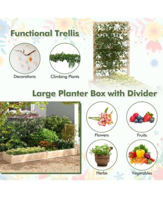 Raised Garden Bed Wooden Planter Box with Divided Space
