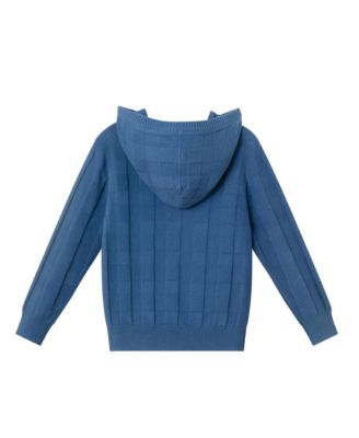 Toddler Boys Toddler/Child Blue Checkered Hooded Sweater