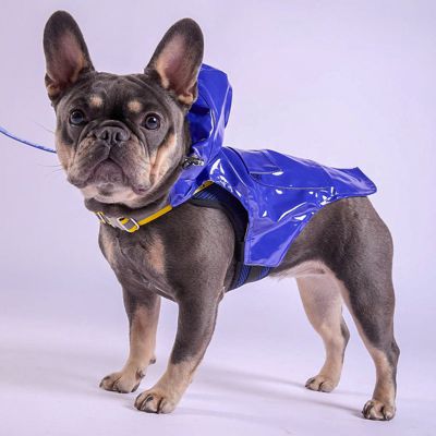 Pet Raincoat & Apparel Harness - Blue, XS