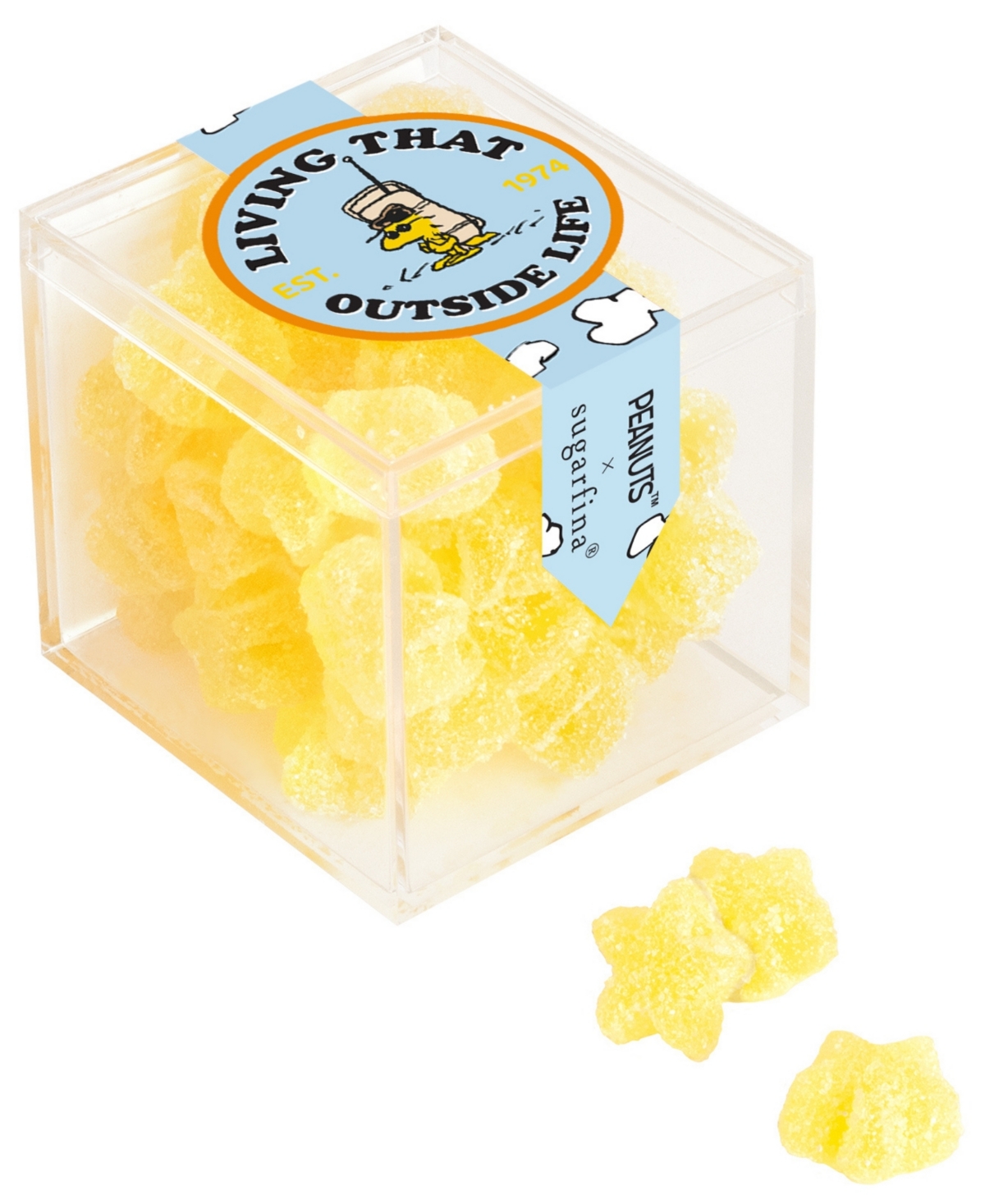 Sugarfina Living That Outside Life In Transparent