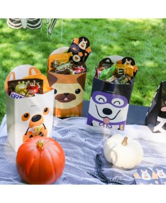 Halloween Pets - Assorted Birthday Party Goodie Boxes - Set of 12