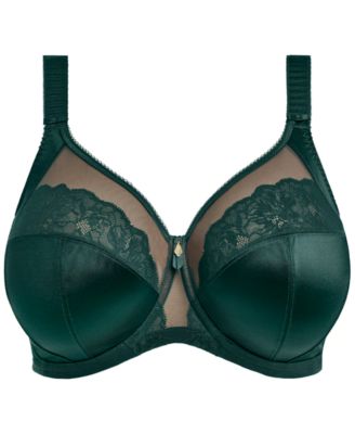 Plus Size Cate Allure Underwire Bra