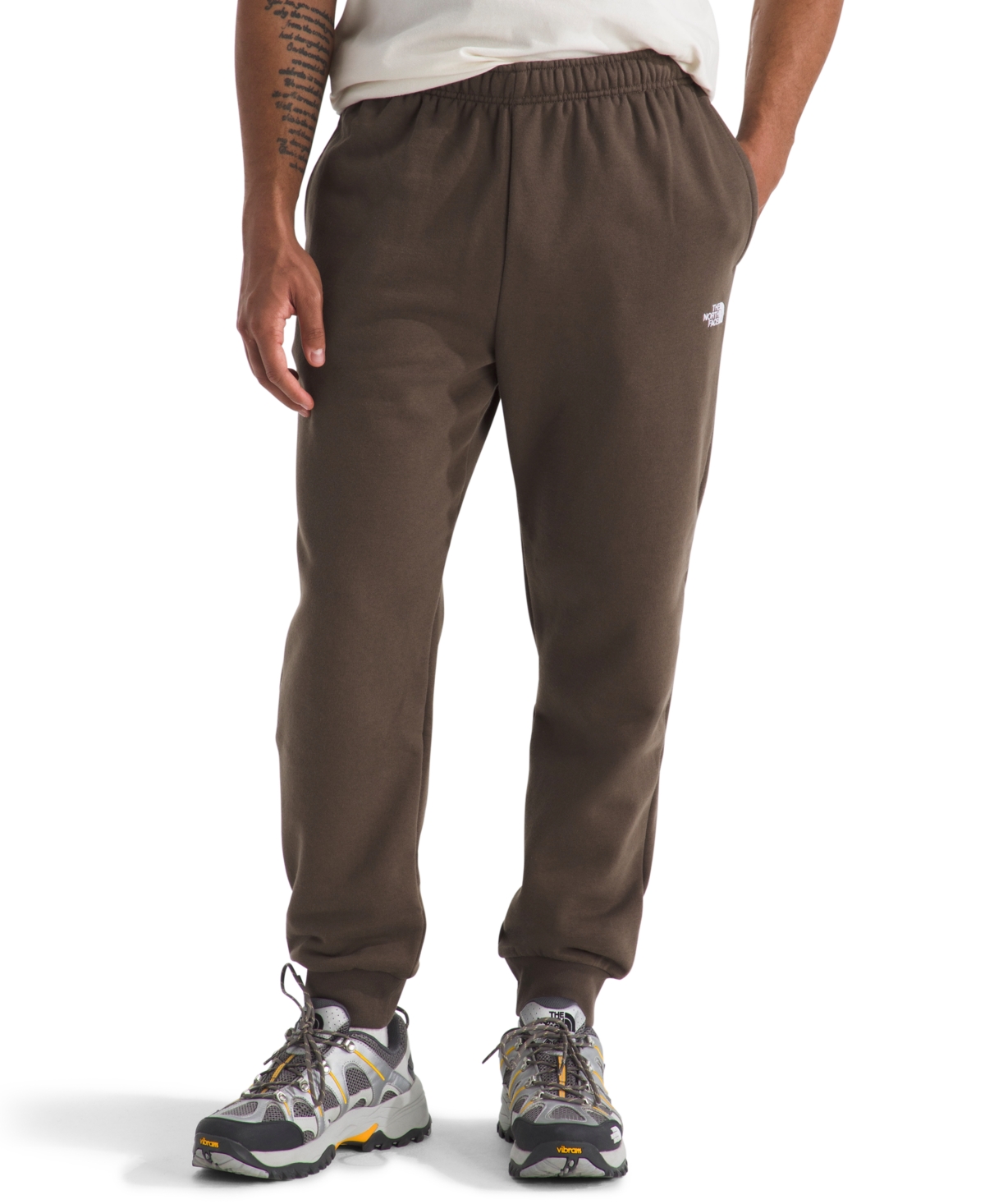 The North Face Men's Evolution Simple Dome Joggers In Brown