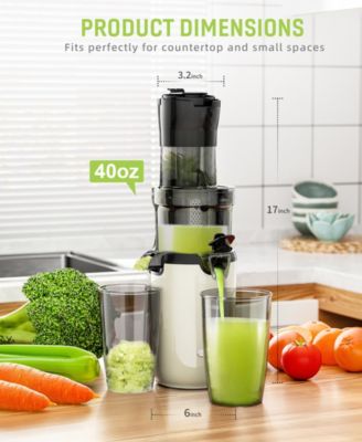 Juicer Machines, Cold Press Juicer, Powerful Slow Juicer with Pulp Seperation For Whole Fruits & Vegetables