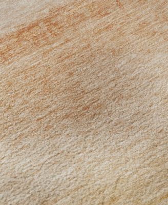 Pacifica Washable PA8 8'x10' Area Rug