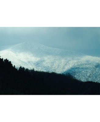 16-300mm f/3.5-6.7 DC OS Contemporary Lens for Canon RF