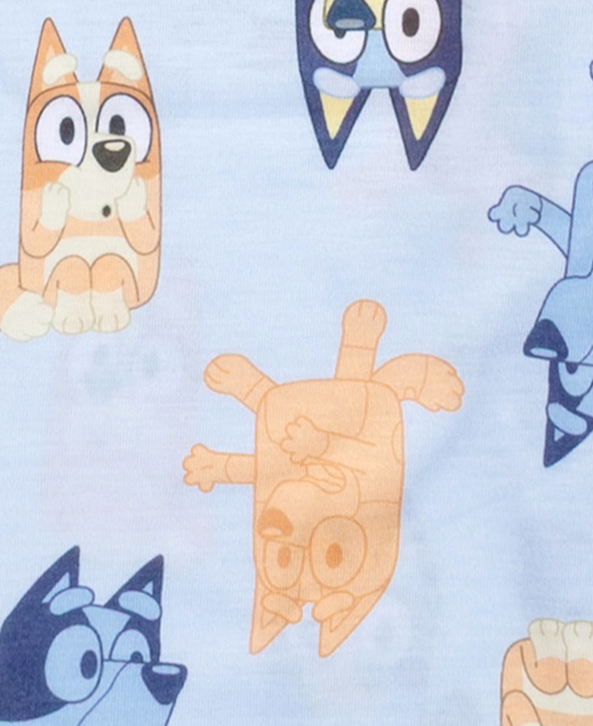 Ame Toddler Boys 2-piece Bluey Print Pajama Set In Blue