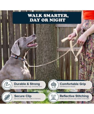 Reflective Leash