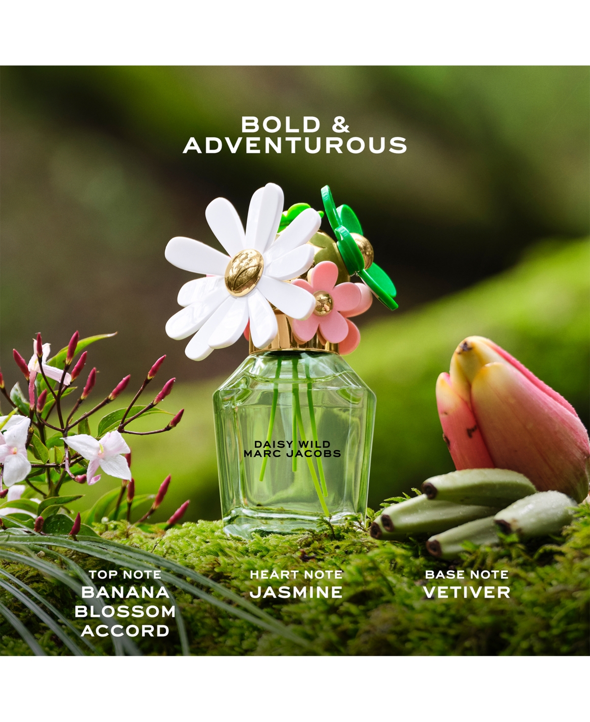 Marc Jacobs 2-pc. Daisy Wild Fragrance Gift Set In Transparent