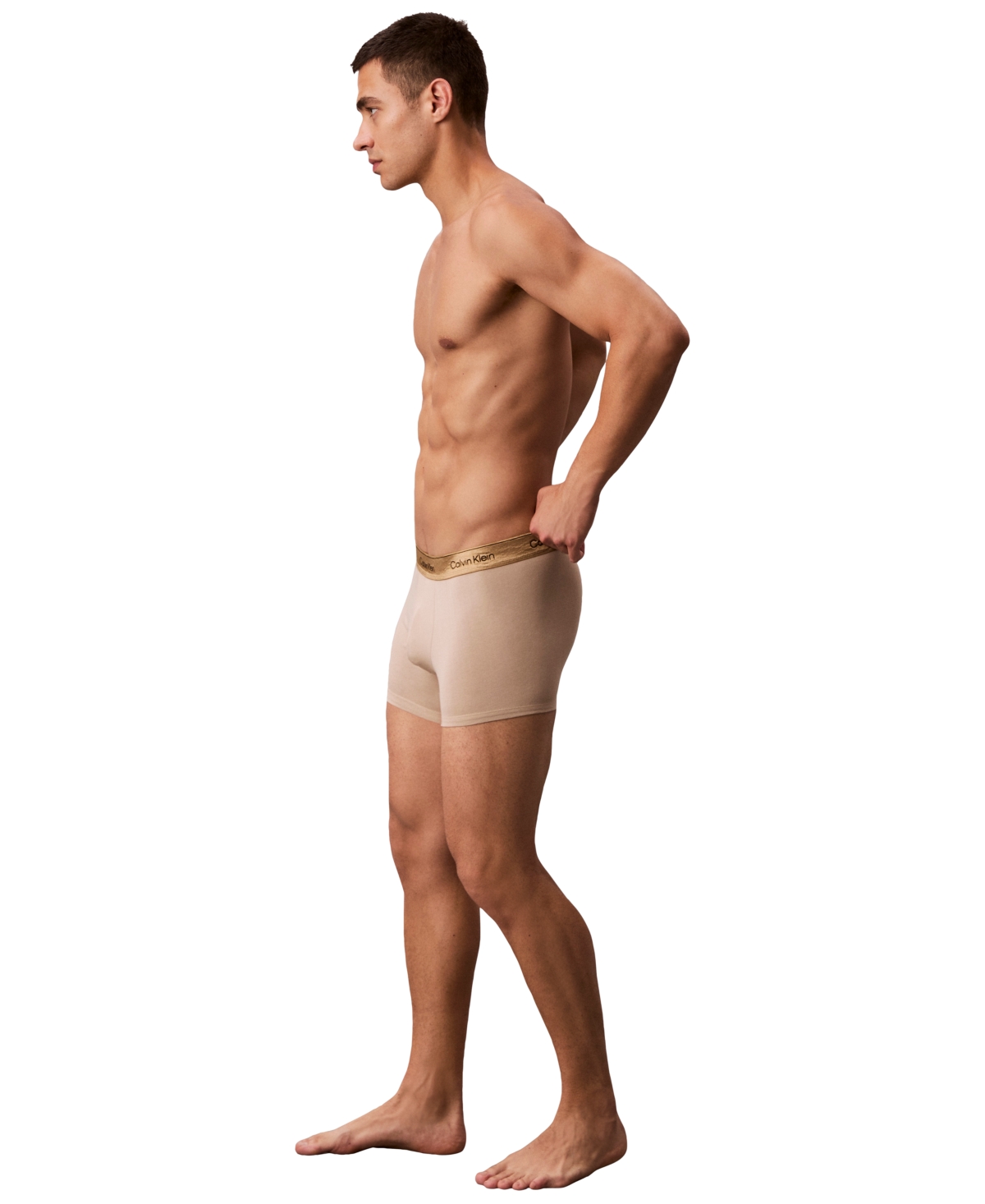 Calvin Klein Icon Holiday Stretch Cotton Boxer Briefs In Neutral
