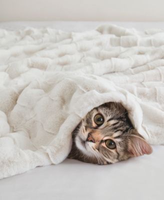 Vivienne Faux Fur Throw, 50" x 60"