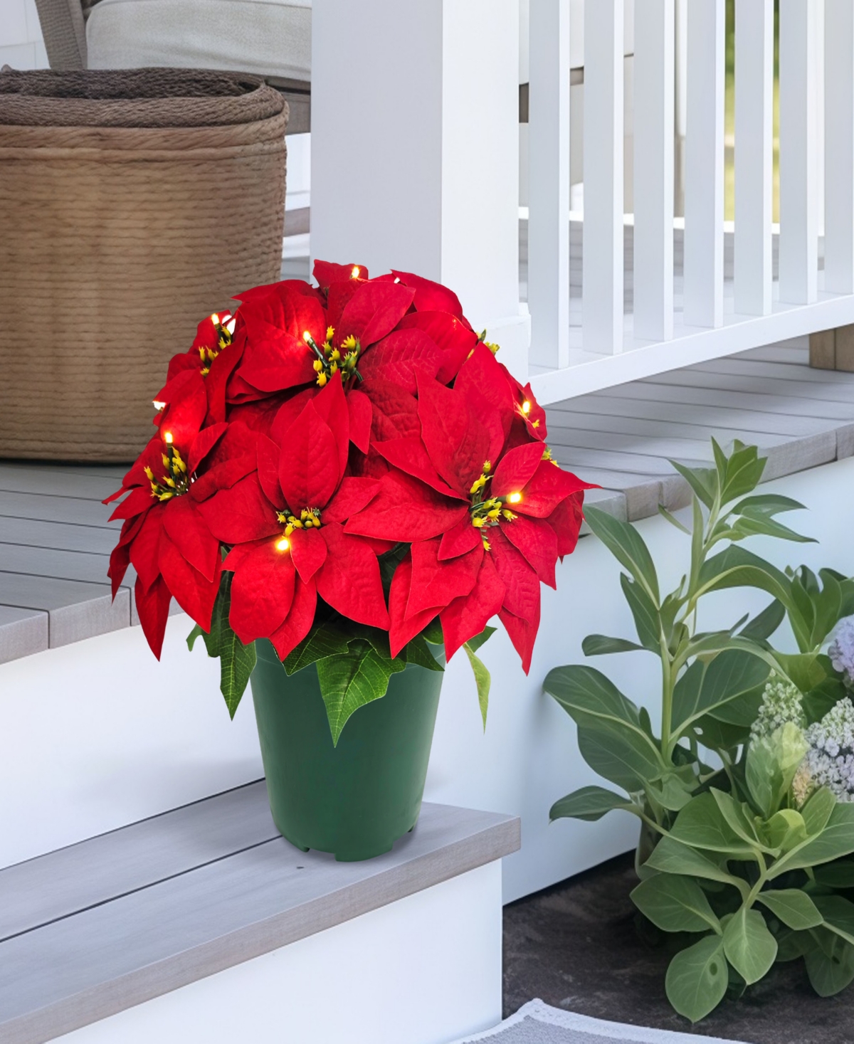 Puleo 22" Pre-Lit Artificial Potted Poinsettias