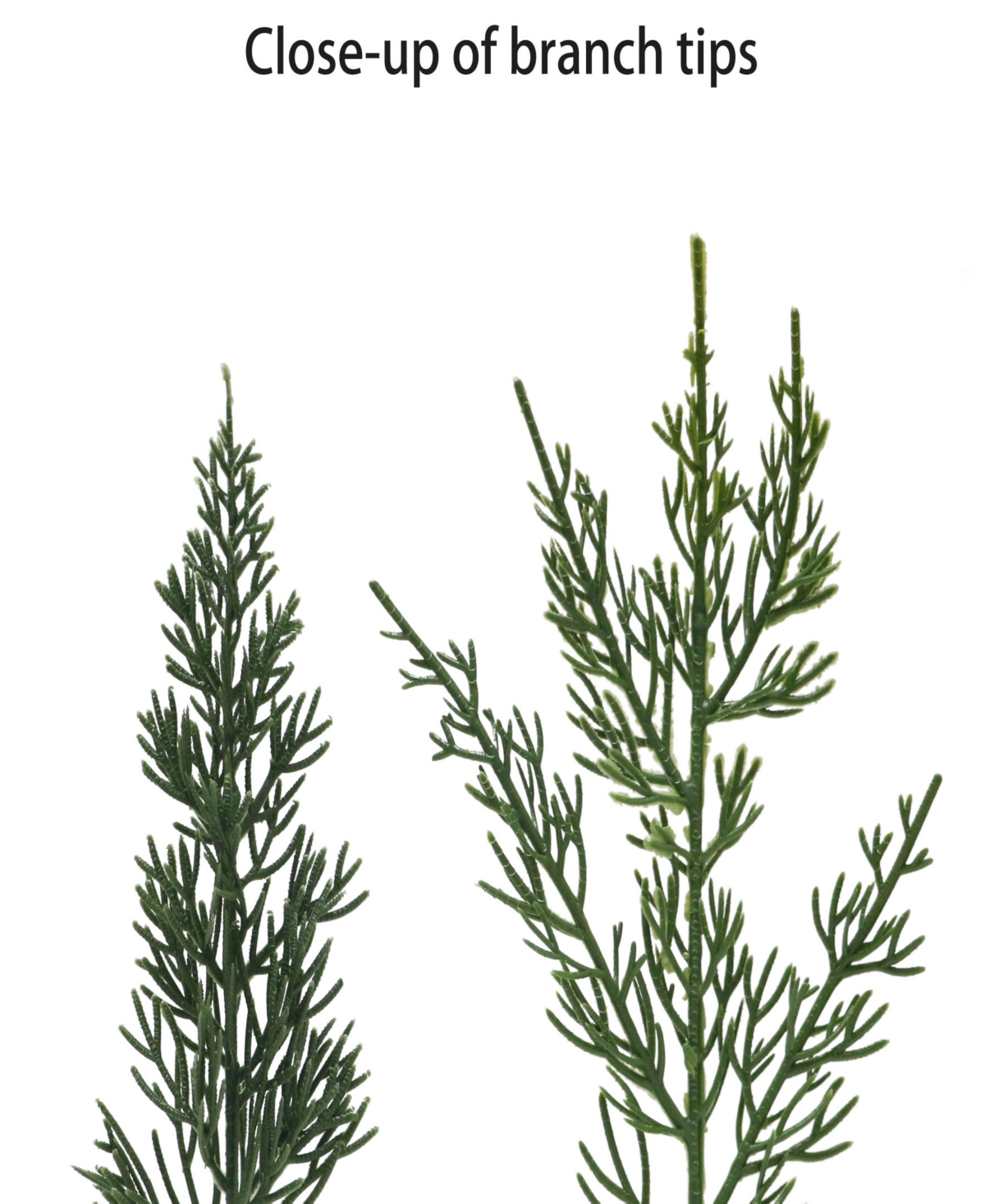 Puleo 22" Artificial Cypress Christmas Wreath With Bow In Green