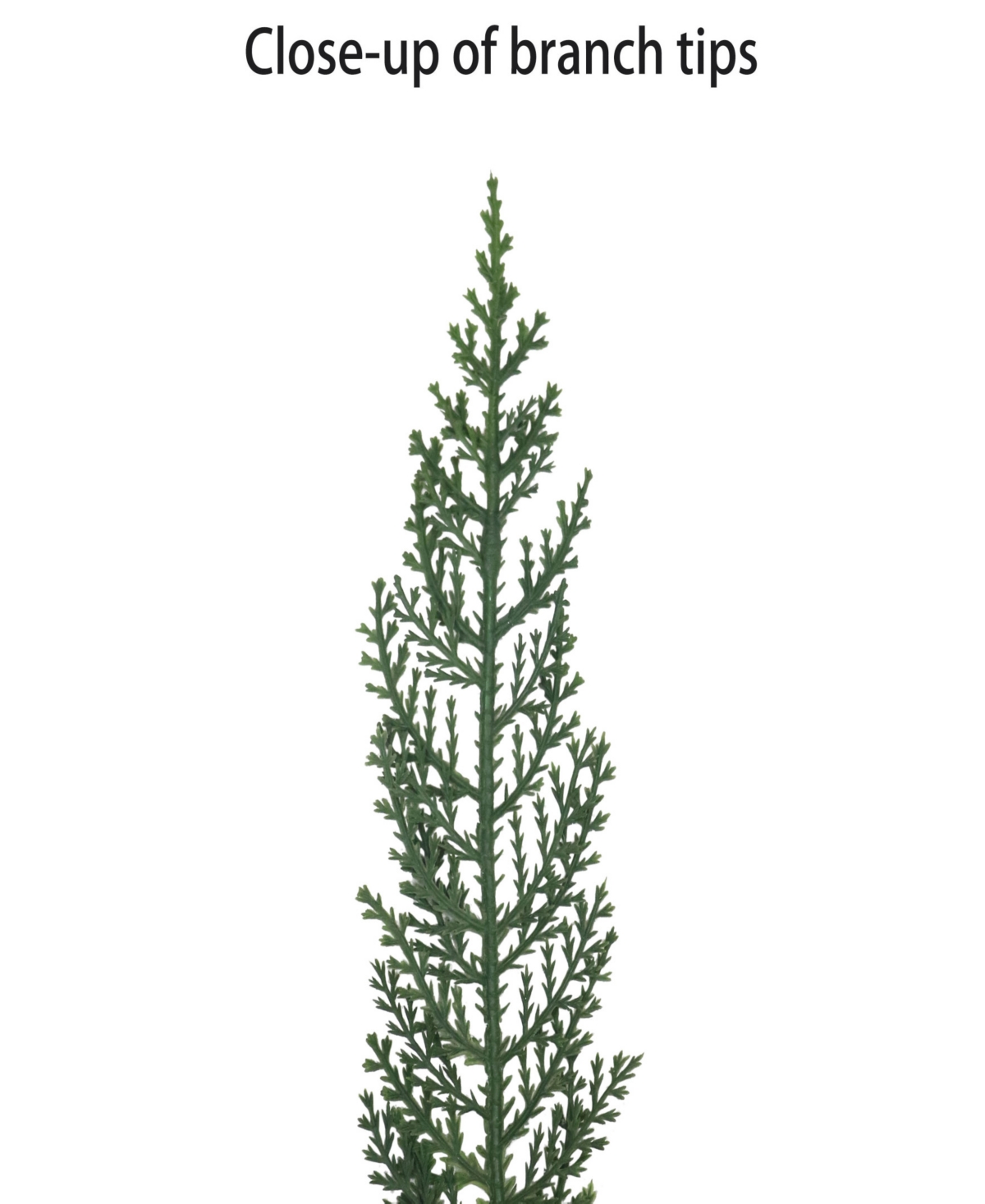 Puleo 22" Artificial Cypress Christmas Wreath With Bow In Green
