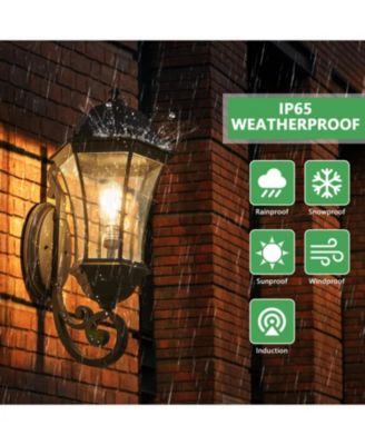 Streamdale 1-Pack Outdoor Wall Lantern with Dusk to Dawn, Black Fixture, Clear Bubble Glass