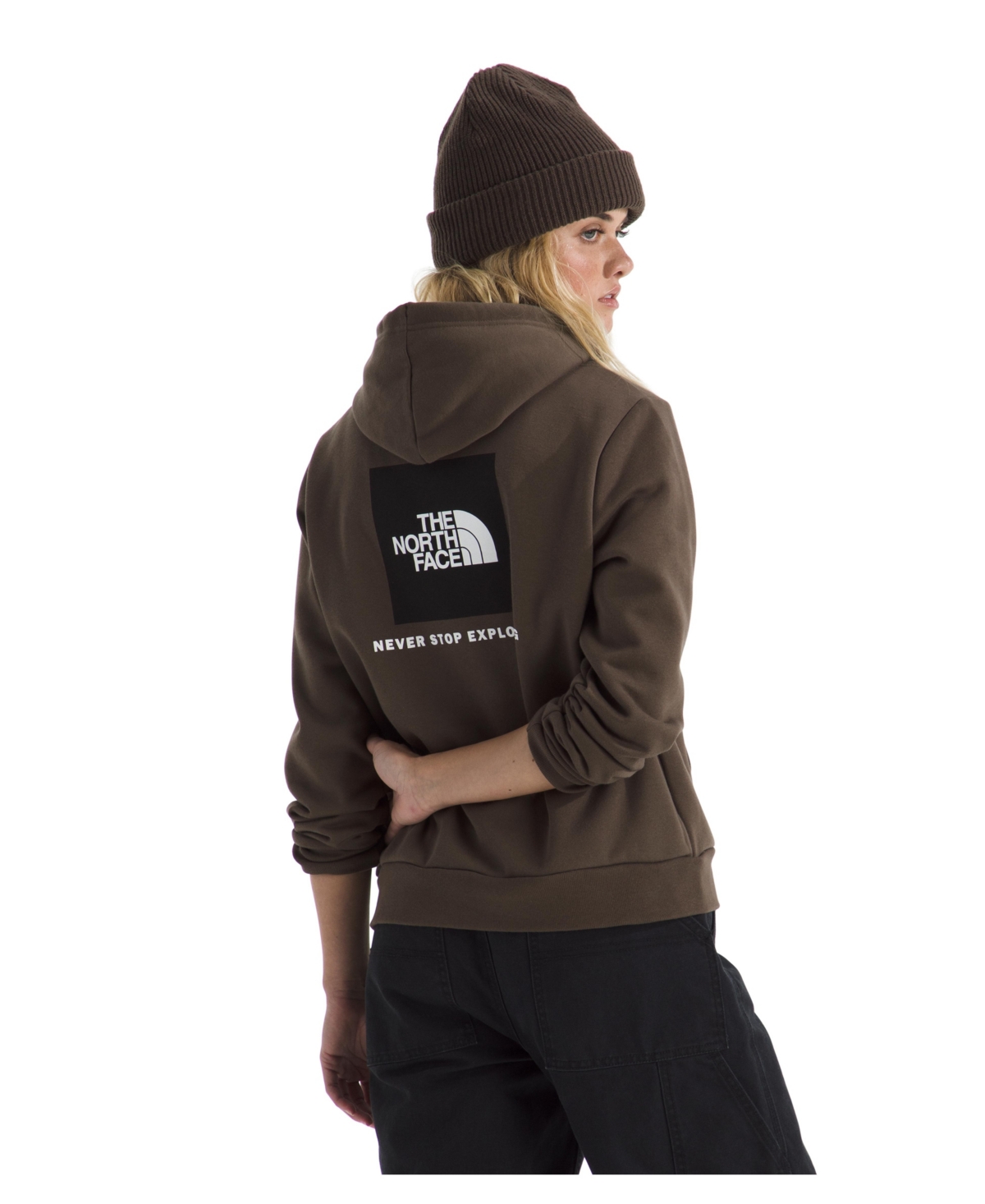 The North Face Women's Evolution Box Nse Hoodie In Brown
