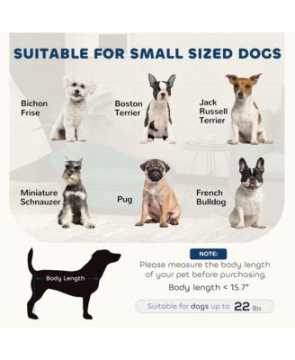 Luxury Small Dog Bed Couch W/ Storage, Little Dog Sofa