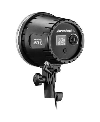 U60-B 60W Bi-Color LED 1-Light Softbox Kit