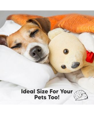 1pk Toddler Pillow, Soft Organic Cotton Toddler Pillows for Sleeping, 13X18 Kids Pillow