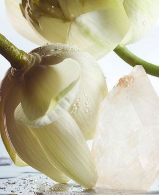 Man Rain Essence Eau de Parfum Spray, 3.4 oz.