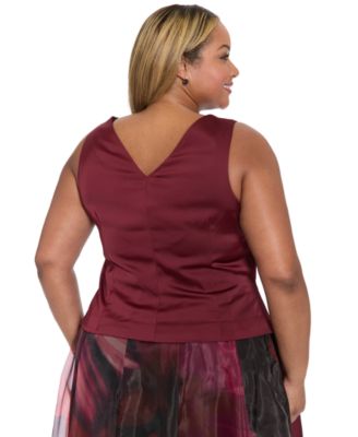 Plus Size V-Neck Top