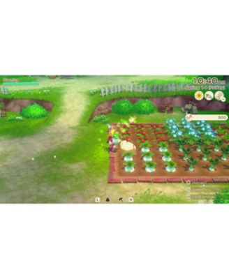 Story Of Seasons: Grand Bazaar Standard Edition for Nintendo Switch 2