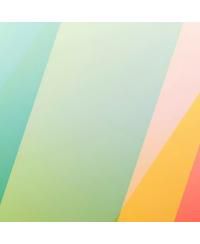 Tree Swing for Kids and Adults, 60" Waterproof Rectangle Platform Swing, 700lbs Heavy Duty with Adjustable Straps