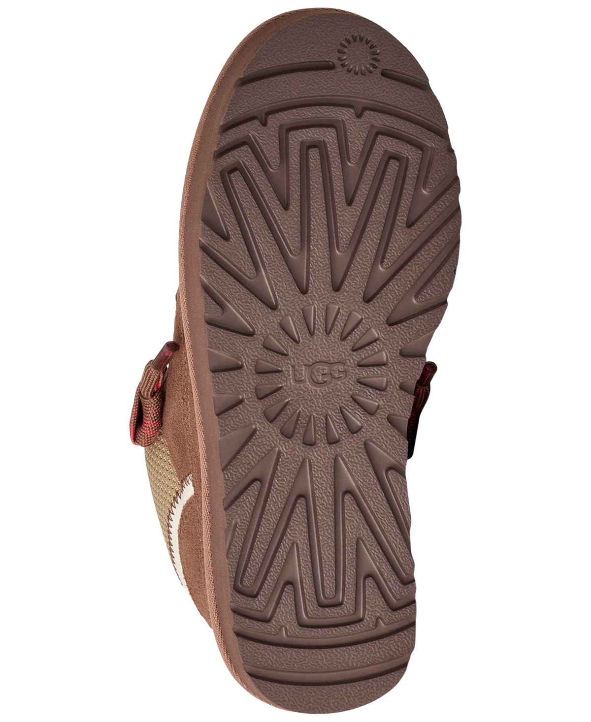 Ugg Webbing Heel Strap Logo Patch Sneakers In Brown