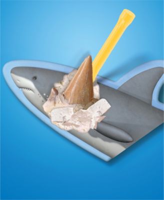 Shark Teeth Unearthed Excavation Kit 2-Pack
