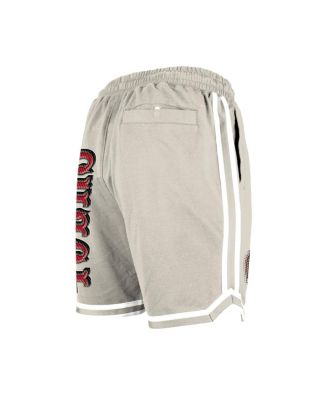 Men's Light Beige San Francisco 49ers Stone Multi Patch Shorts
