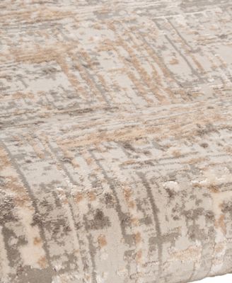 Alloy ALL343 4'x6' Area Rug