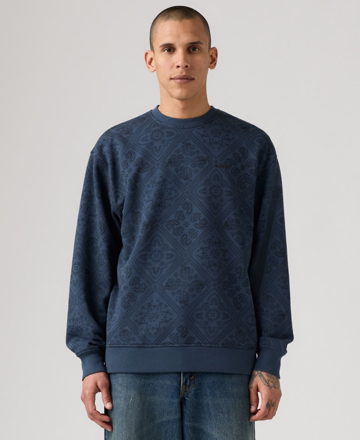Levi's Men's Seasonal Crewneck Relaxed Fit Sweatshirt