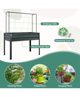 Raised Garden Bed w/ Cover & Legs Roll-up Window Climbing Trellis Drainage Holes