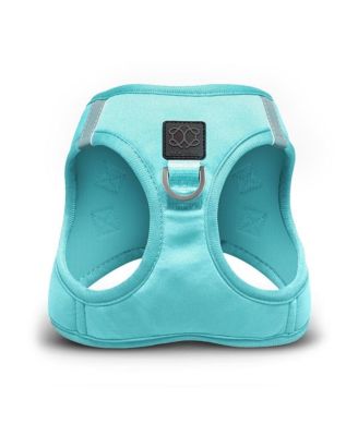 SoHo Dog Harness