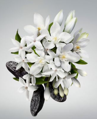 Good Girl Bowtastic Eau De Parfum, 2.7 oz.