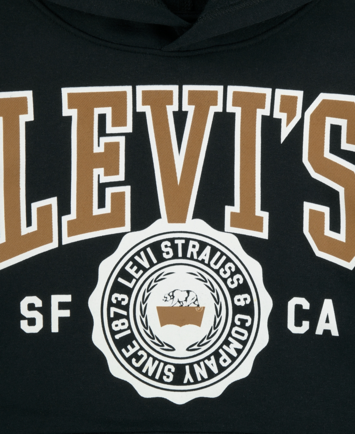 Levi's Boys 8-20 Sporty Long Sleeve Hoodie In Black