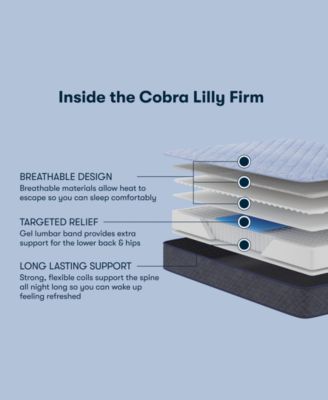 Perfect Sleeper Cobra Lily 10.5" Firm Tight Top Mattress, Twin