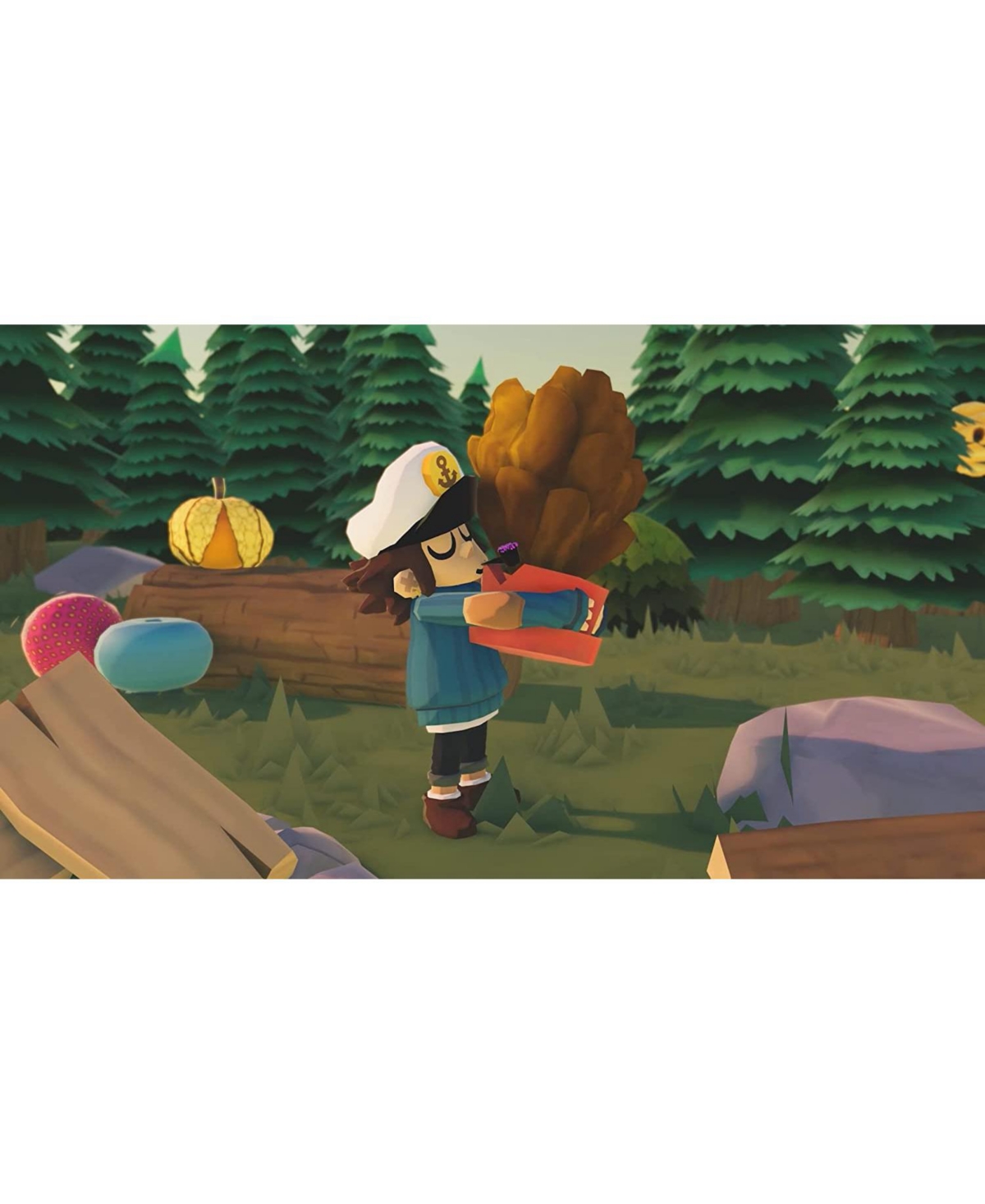 Time on Frog Island - Nintendo Switch