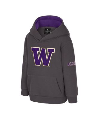 Toddler Charcoal Washington Huskies Big Logo Volume Fleece Pullover Hoodie