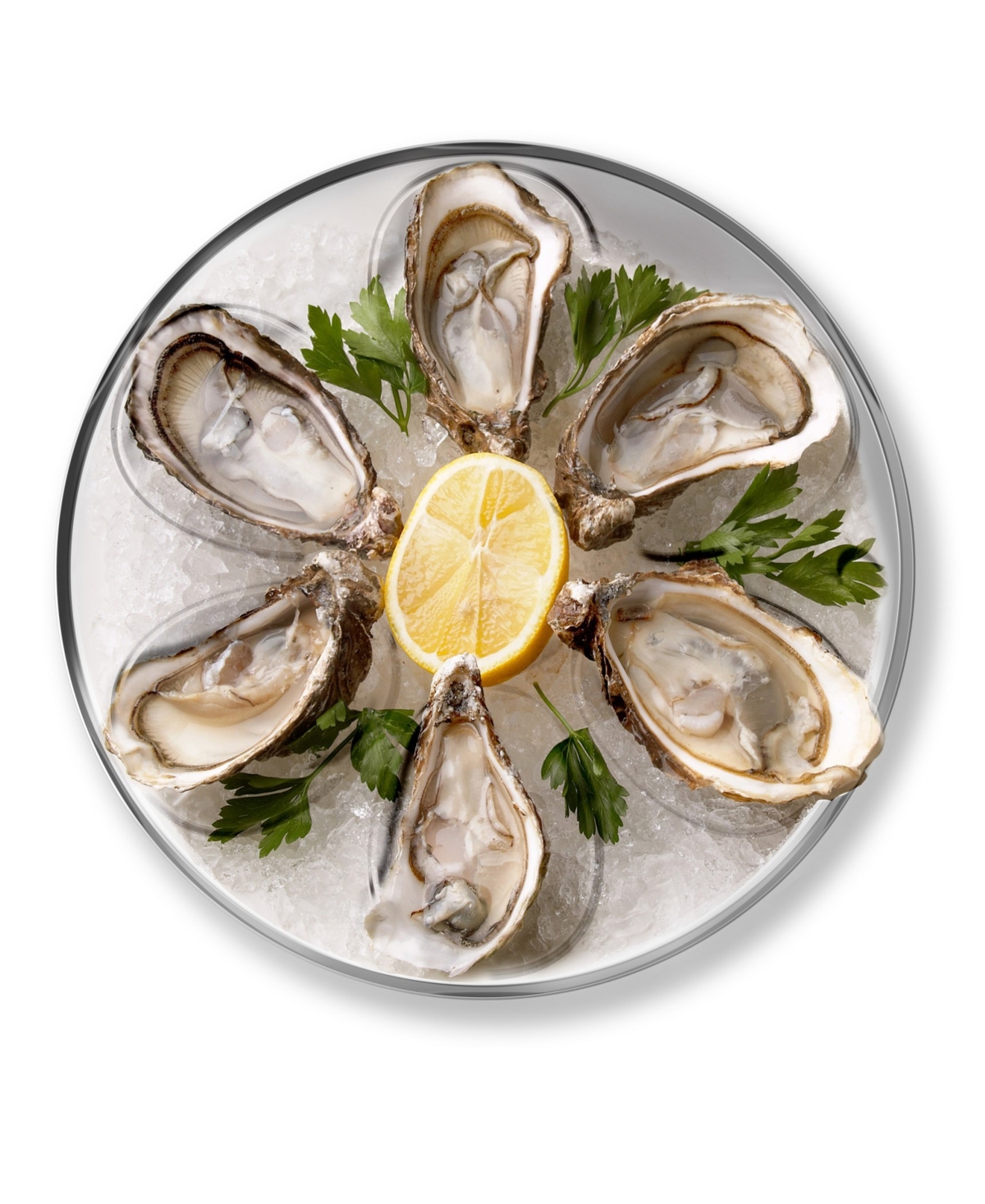 Outset Stainless Steel Round Oyster Plate