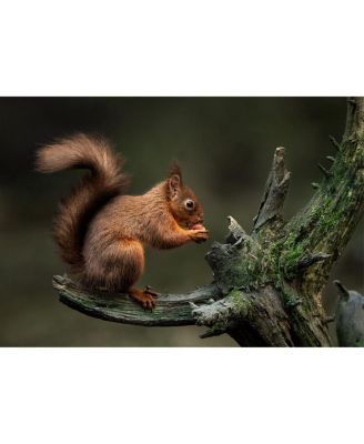 300-600mm f/4 DG OS Sports Lens for Sony E, White