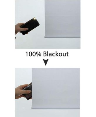 Roller Window Blinds & Shades, Cordless Roller Blinds for Windows, 100% Blackout Window Blinds for Home, 48" W X 64" H, Linen