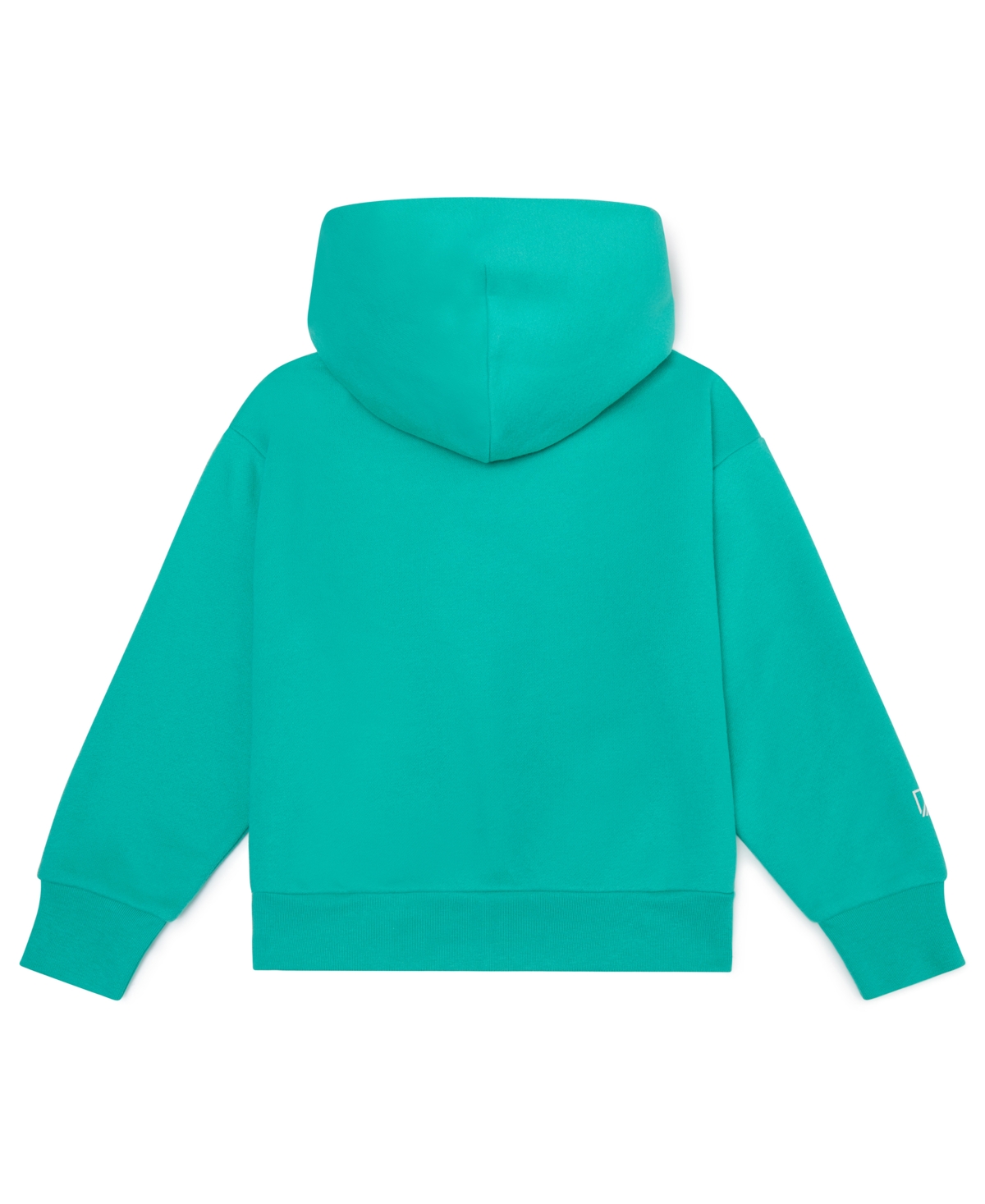 Color Lab Unisex 2t-6x Pull-on Printed Long Sleeve Hoodie In Green