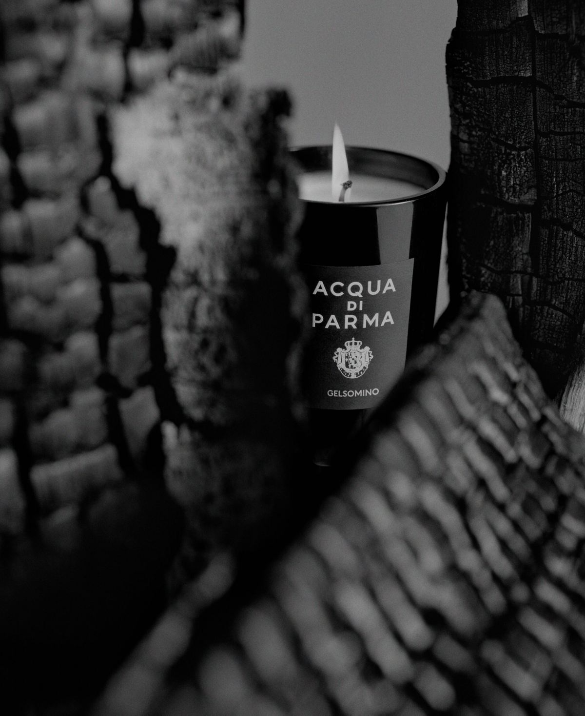 Acqua Di Parma Gelsomino Glass Candle, 7 oz.