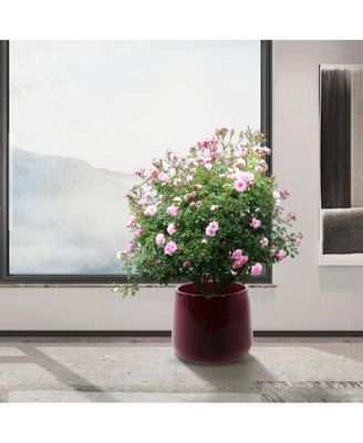 Set of 4 Modern Ceramic Planters