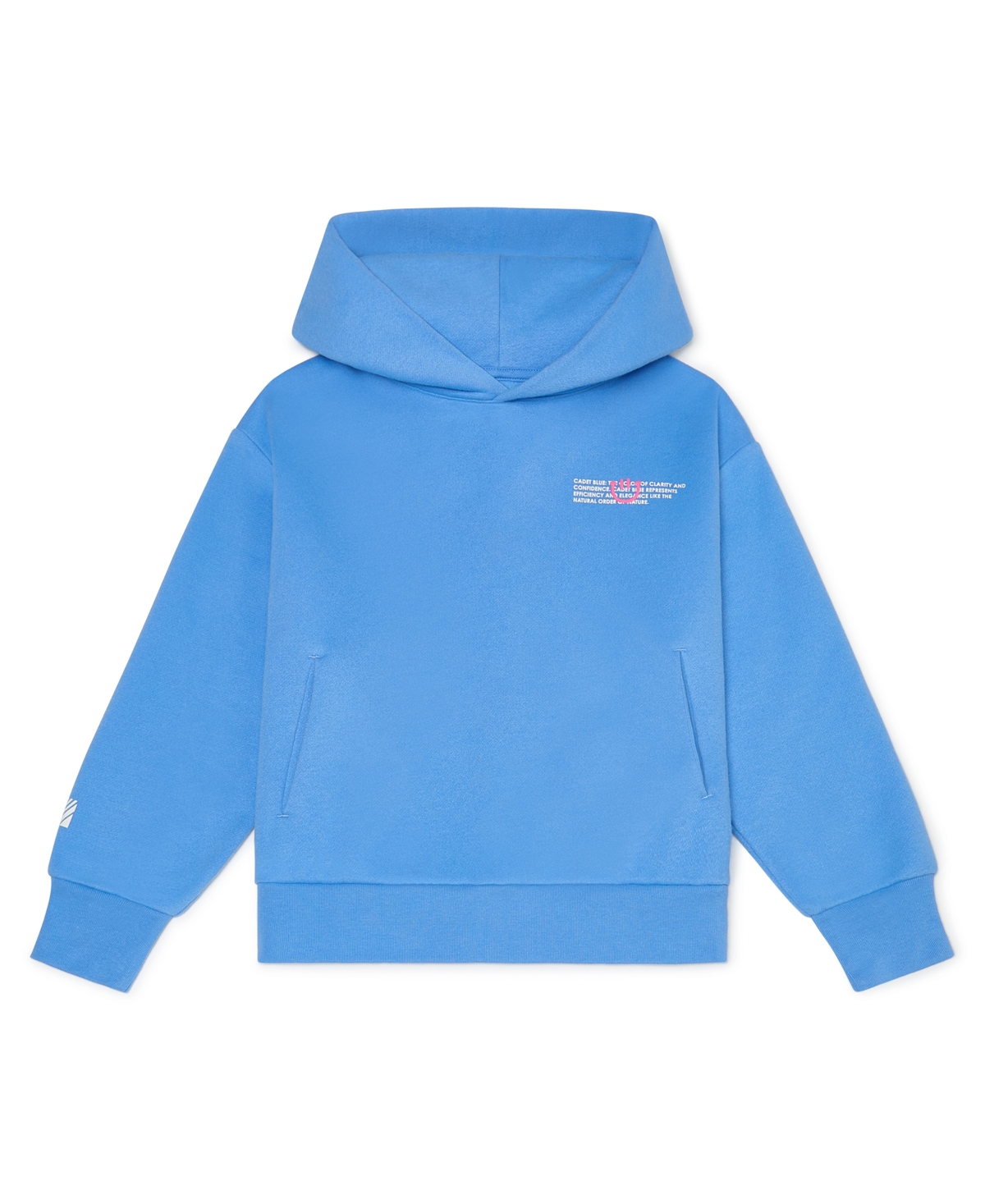 Color Lab Unisex 2t-6x Pull-on Printed Long Sleeve Hoodie In Blue