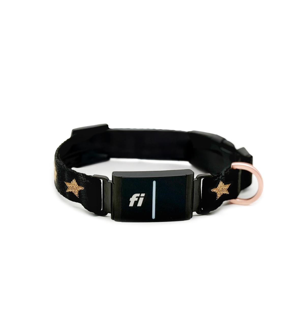 The Dogistry x Fi Rockstar Collar