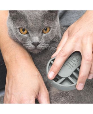 2.0 Shorthair Cat Grooming Kit