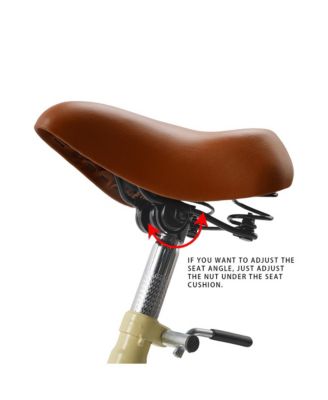 Tricycle for Ladies and Teens with Oversized Front Basket for Pets and Picnic Gear